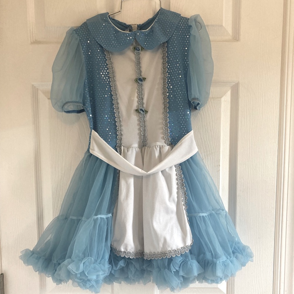 Alice & Wonderland Costume size 0